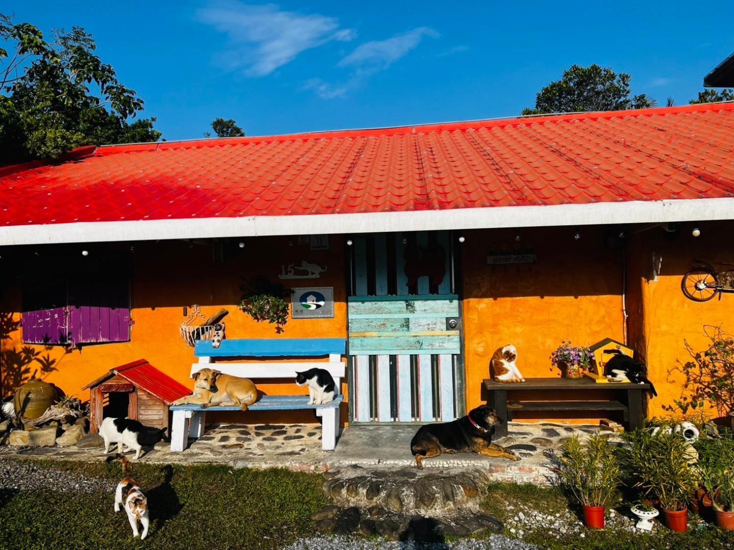 Cat Sky Country Homestay Саньсин Экстерьер фото