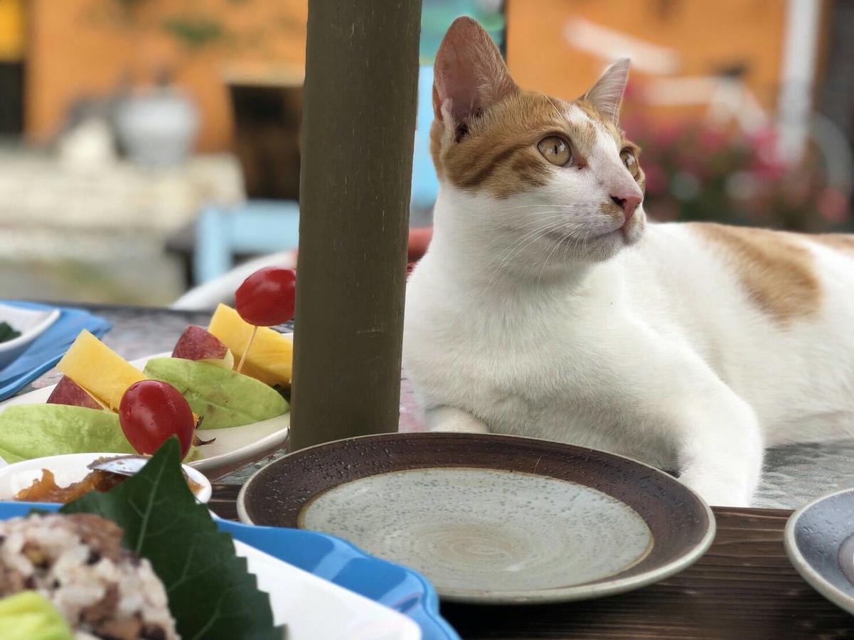 Cat Sky Country Homestay Саньсин Экстерьер фото